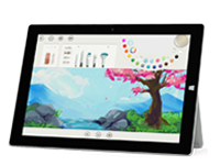 沉湖管委会Surface 无法开启、Windows 无法启动或电池无法充电